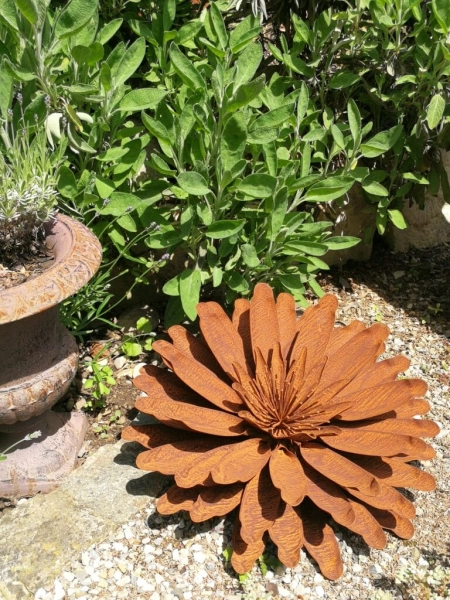 Edelrost Blume Vanessa