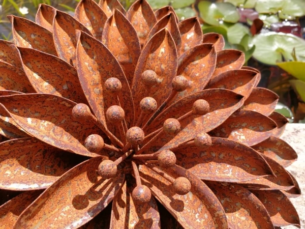 Edelrost Blume Volaria