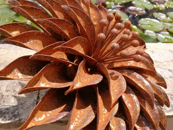 Edelrost Blume Volaria