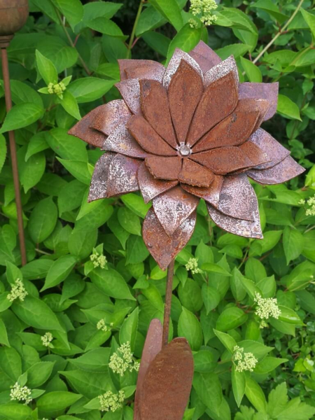 Edelrost Blume Vroni