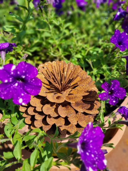 Edelrost Blume Zinie
