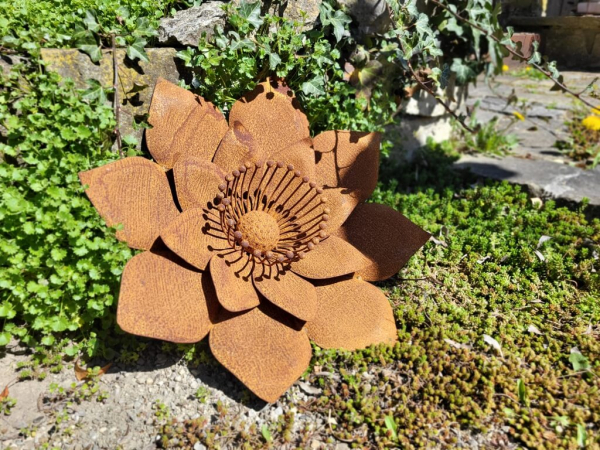 Edelrost Blume Joy