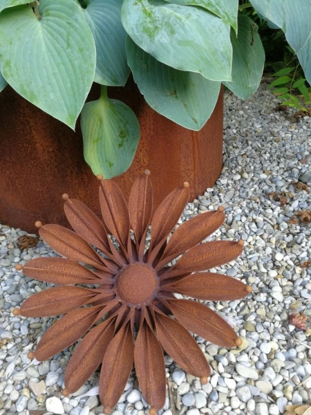 Edelrost Blume Gerbera