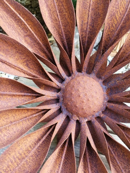 Edelrost Blume Gerbera