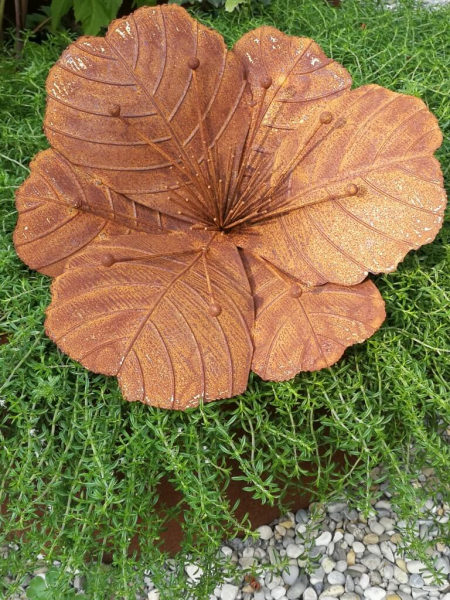 Edelrost Blume Malve