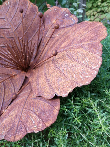 Edelrost Blume Malve