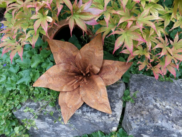 Edelrost Blume Taglilie