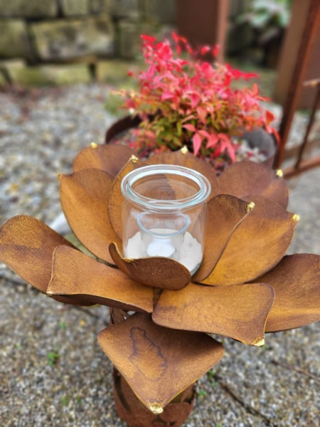 Edelrost Echeveria mit Goldspitzen