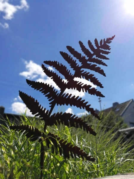 Edelrost Farnblatt zum Stecken