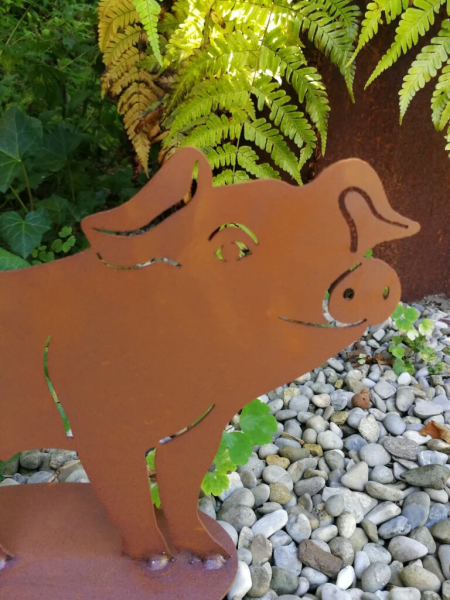 Edelrost Ferkel Winifred