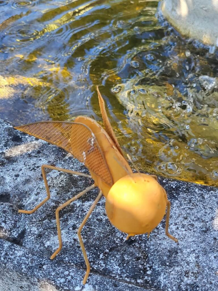 Edelrost Fliege