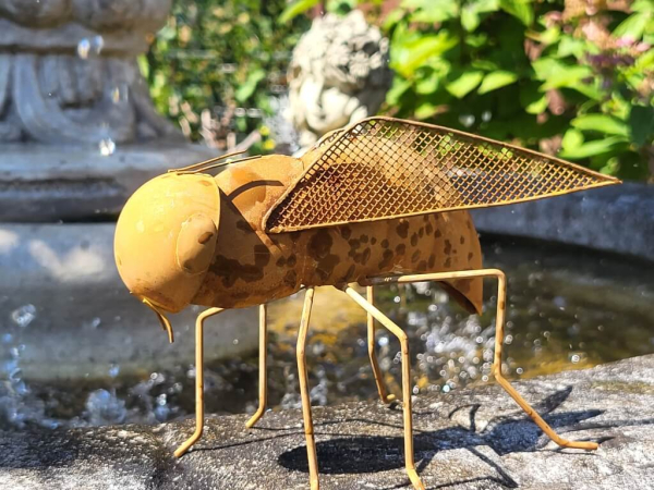 Edelrost Fliege