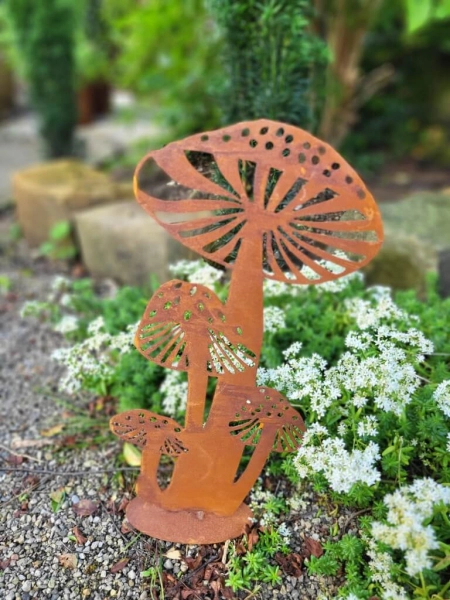 Edelrost Fliegenpilz Andi
