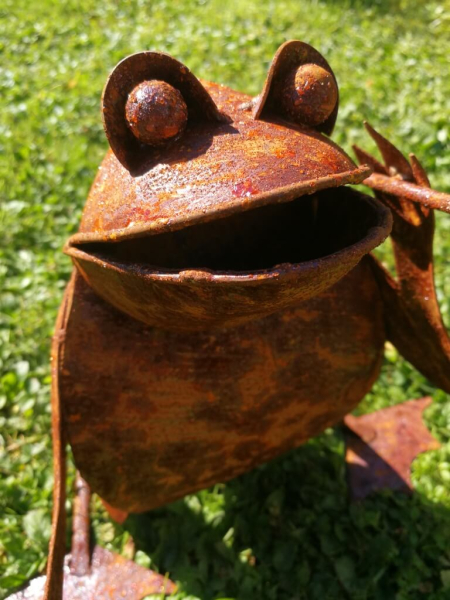 Edelrost Gentleman-Frosch