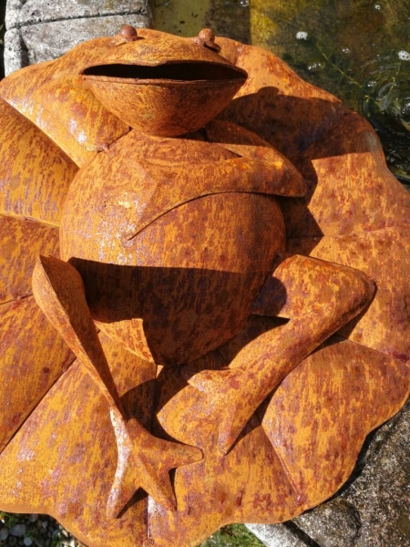 Edelrost Frosch auf Seerosenblatt