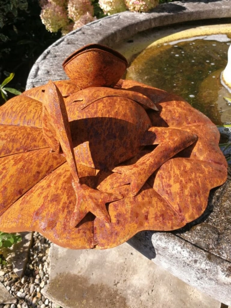Edelrost Frosch auf Seerosenblatt