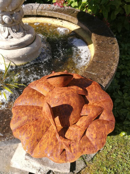 Edelrost Frosch auf Seerosenblatt