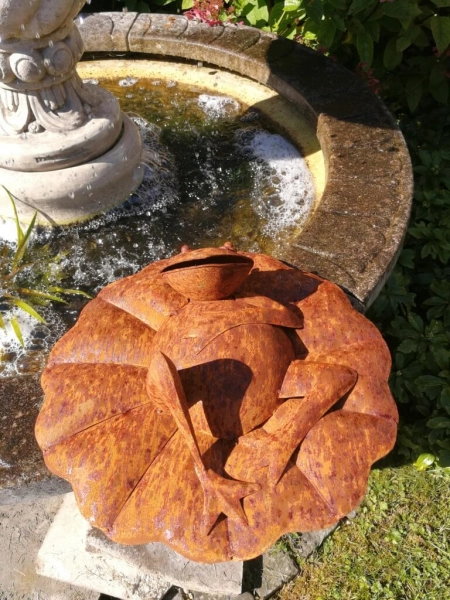 Edelrost Frosch auf Seerosenblatt
