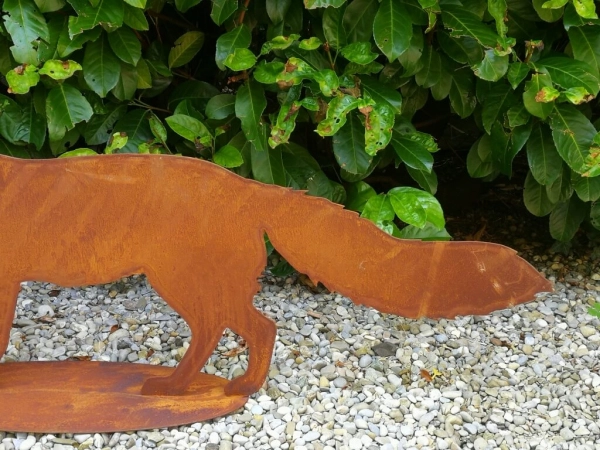 Edelrost Fuchs Attila, laufend