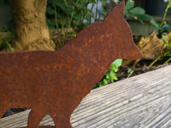 Edelrost Fuchs, klein