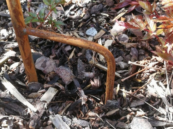 Edelrost Gartenfackel Hera