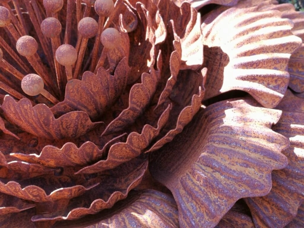 Edelrost Blume Ivy