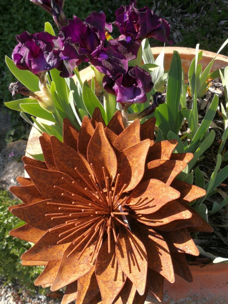 Edelrost Blume Lilly