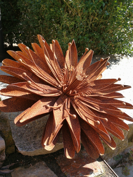Edelrost Blume Aster