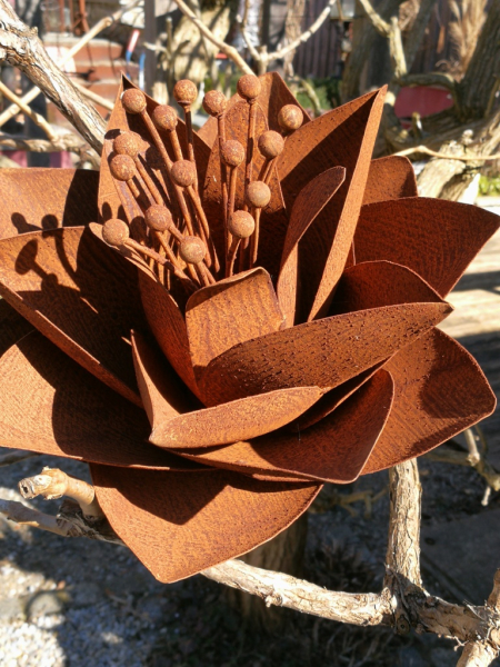 Edelrost Blume Elleonore