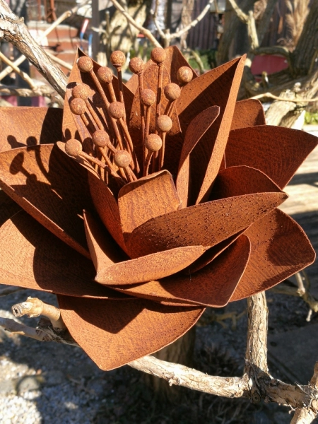 Edelrost Blume Elleonore