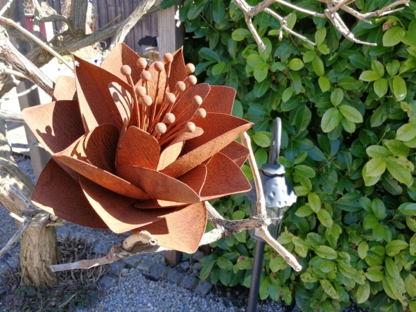 Edelrost Blume Elleonore