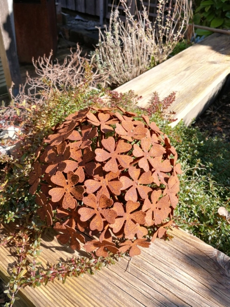 Edelrost Hortensie