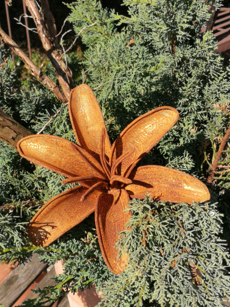 Edelrost Blume Lilie