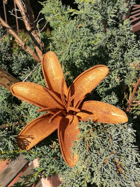 Edelrost Blume Lilie