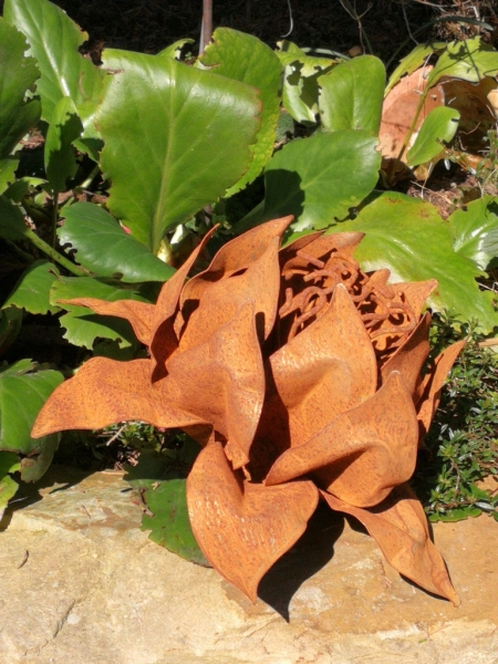 Edelrost Blume Seline