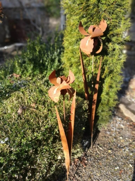 Edelrost Blume Iris (Schwertlilie) mit Gold