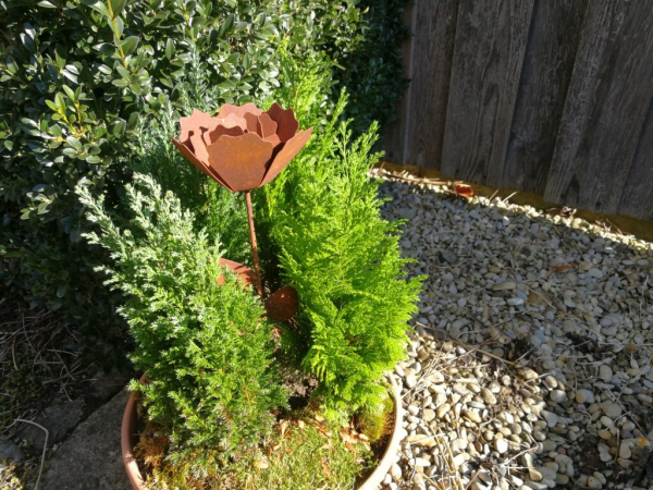 Edelrost Rose klein gerade