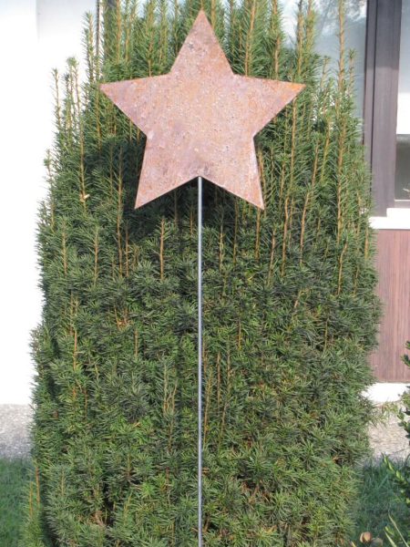 Edelrost Gartenstecker Stern geschlossen 180 x 40 cm