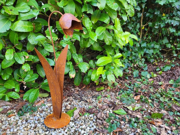 Edelrost Glockenblume auf Platte