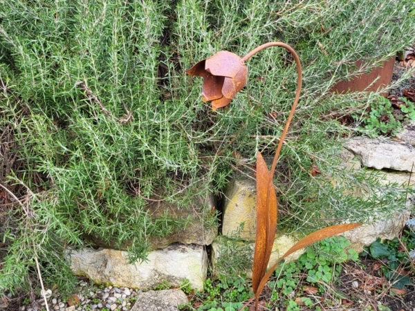 Edelrost Glockenblume zum Stecken