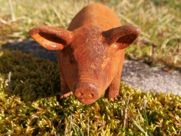 Gusseisen Schwein Porky