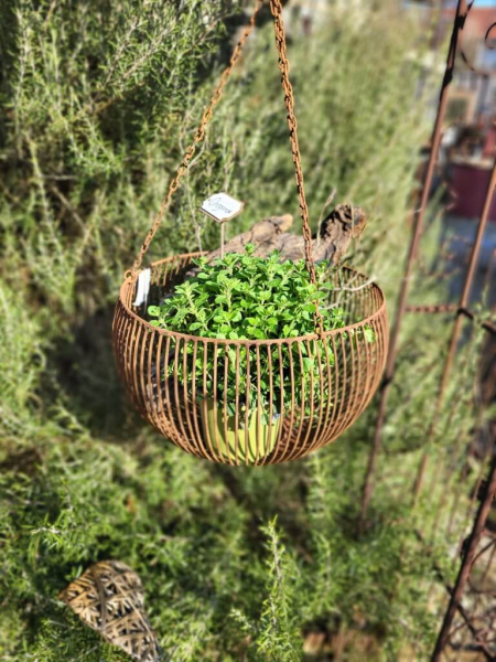 Edelrost Hängekorb Gitter, groß