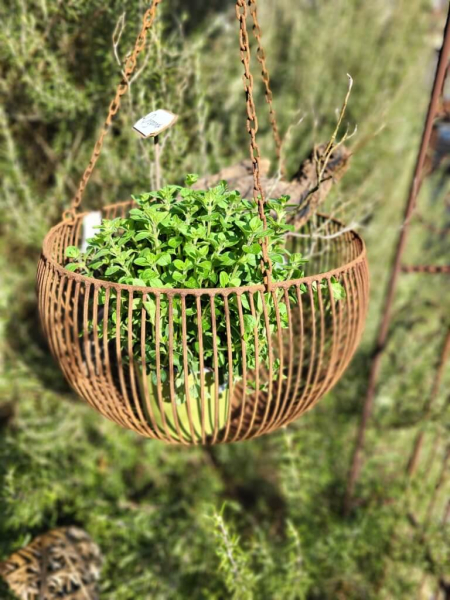 Edelrost Hängekorb Gitter, groß