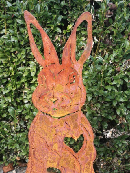 Edelrost Hase Bonny