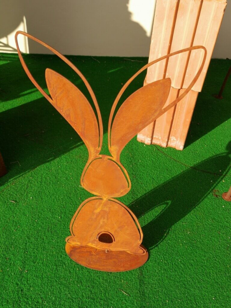 Edelrost Hase Nelly, Ohren oben