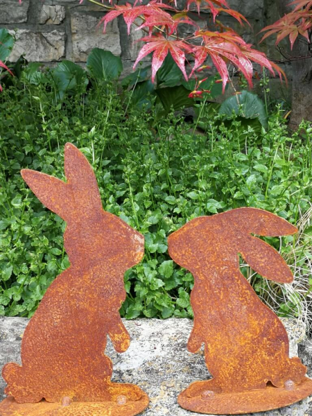 Edelrost küssender Hase, hängende Ohren