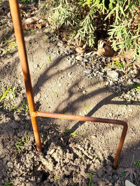 Edelrost Gartenstecker Pflanzschale Herz gerollt