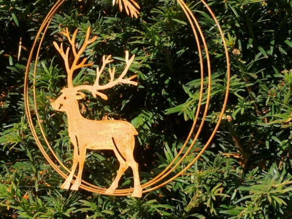 Dekohänger Hirsch Dietmar im Ring, Kopf gerade