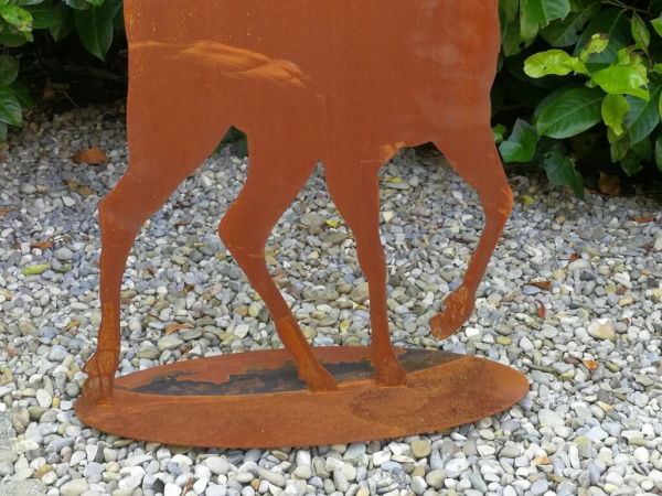 Edelrost Hirsch Smörre von vorne
