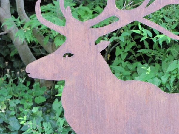 Edelrost Hirsch stehend geradeaus schauend